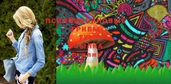 крисы Аркадак