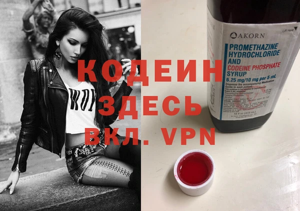 крисы Аркадак