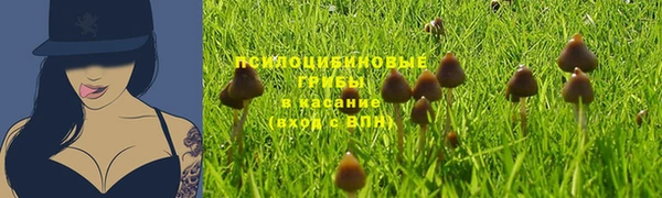метадон Арсеньев