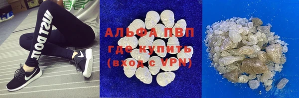 гашик Алексеевка