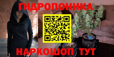 apvp Керчь