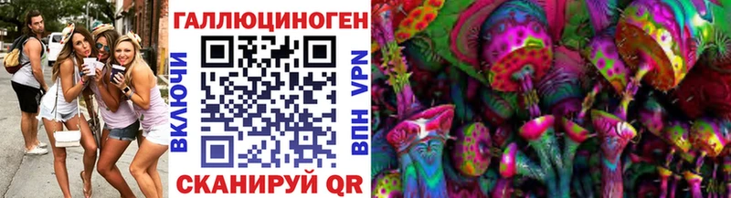 Галлюциногенные грибы Psilocybine cubensis  Лобня 