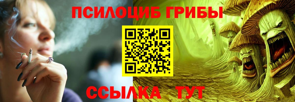 Галлюциногенные грибы мицелий  Вход с VPN  цена   Галлюциногенные грибы Psilocybine cubensis  Лобня 