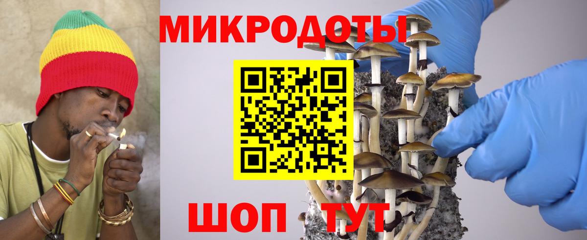 Галлюциногенные грибы мухоморы Лобня